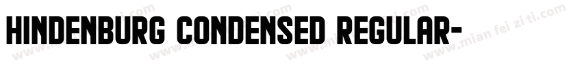 Hindenburg Condensed Regular字体转换